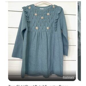 Zara sweater dress smocking on bodice and embroidered flowers